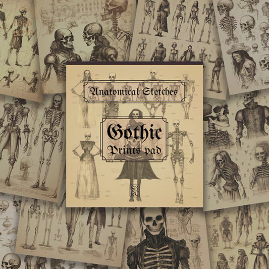 SBRC Gothic Anatomical Sketches SR 017