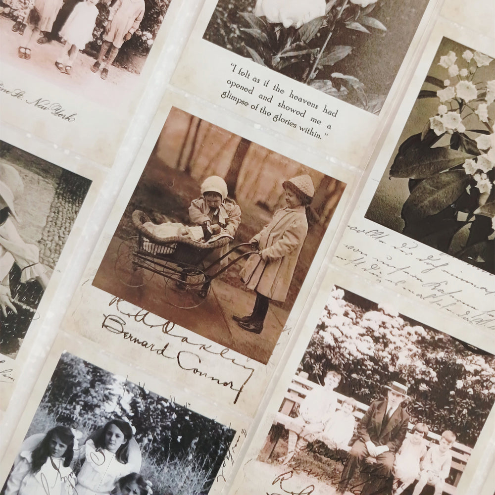 Torn Paper_ Memory Album 3D Print PET Tape 6m TPM 060[Whole]