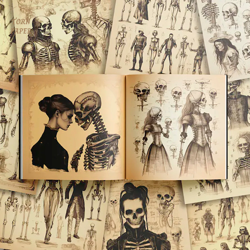 SBRC Gothic Anatomical Sketches SR 017