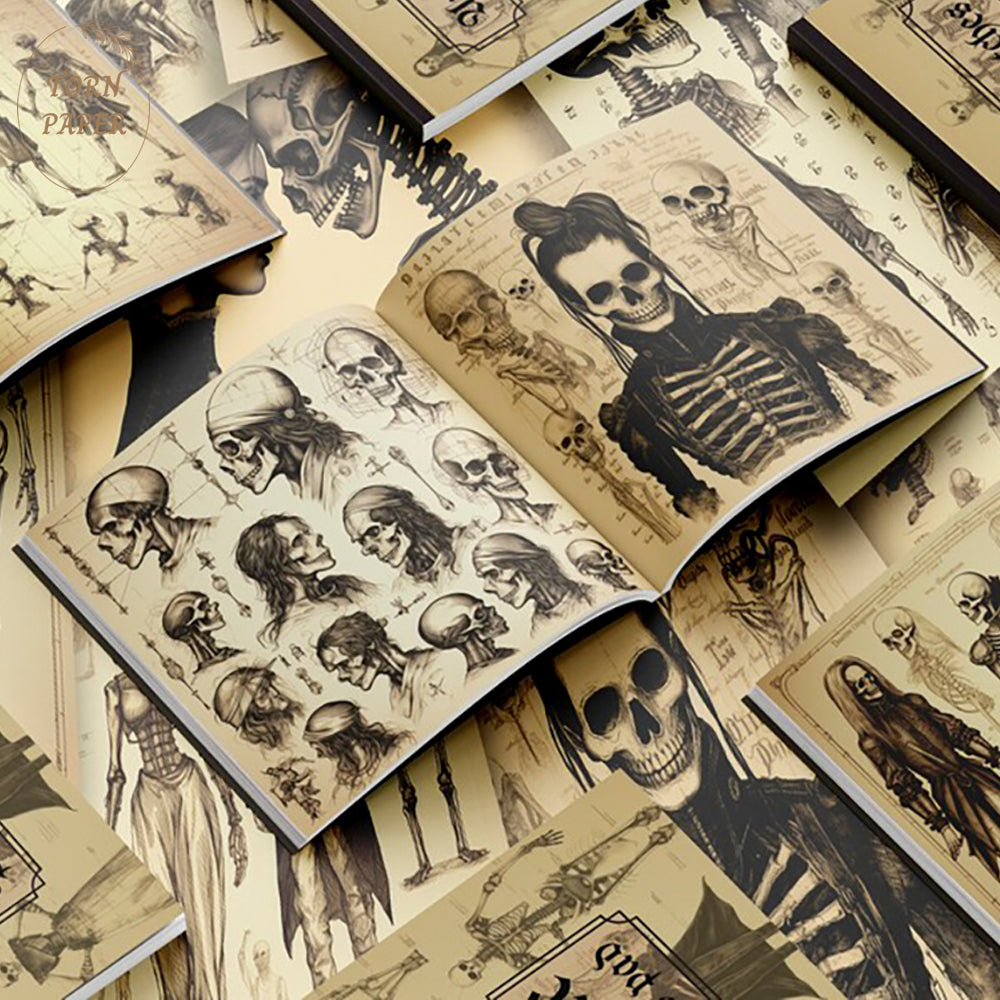 SBRC Gothic Anatomical Sketches SR 017