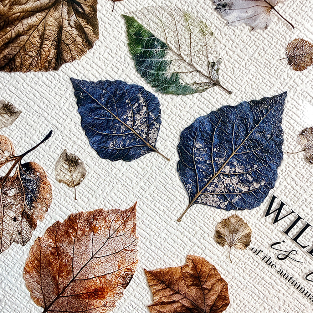 Torn Paper_ Tales of Autumn 3D Print PET Tape 200cm TPM 114[1Loop]