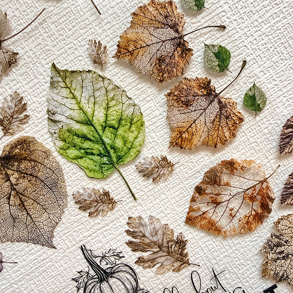 Torn Paper_ Tales of Autumn 3D Print PET Tape 200cm TPM 114[1Loop]
