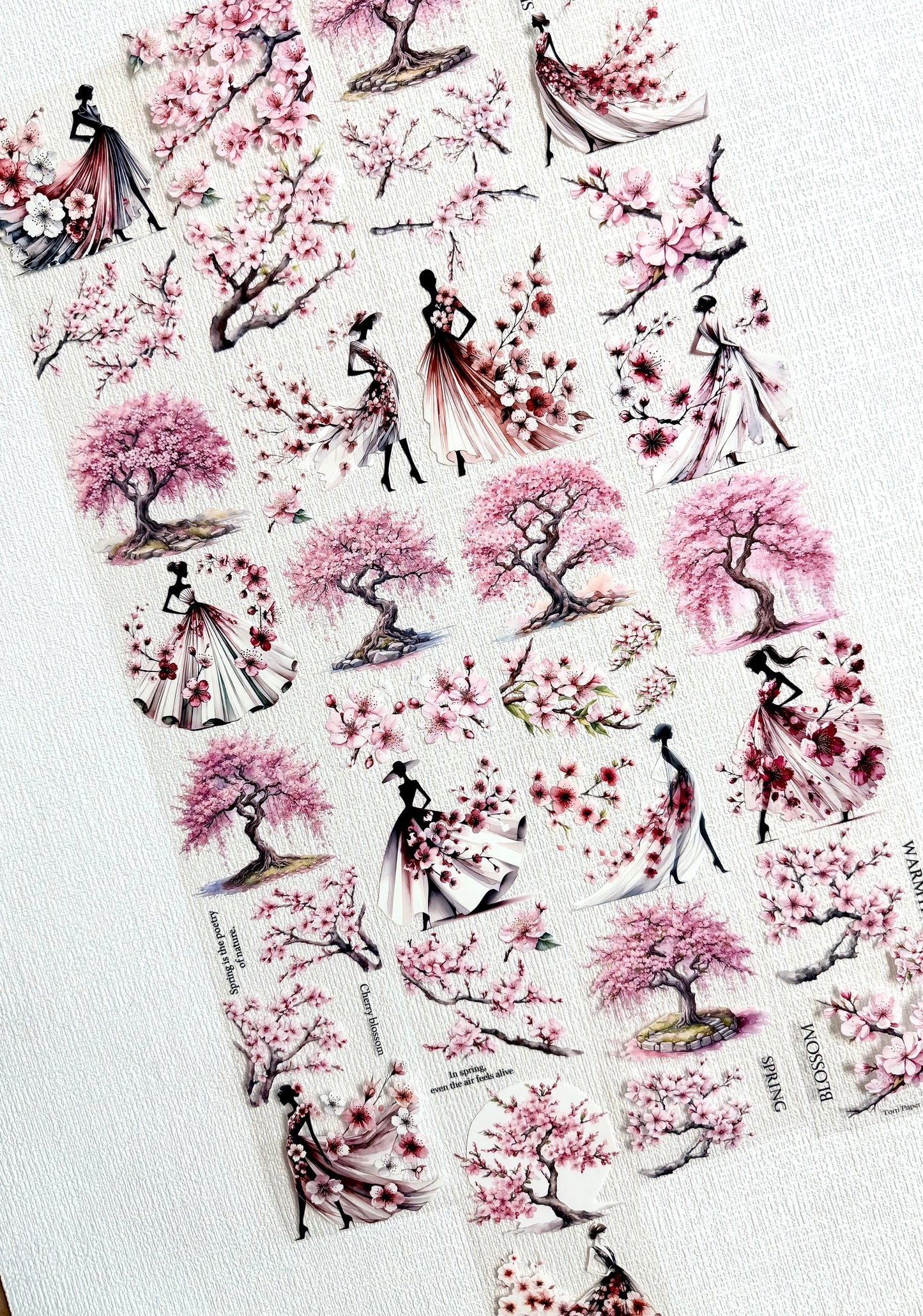 Torn Paper_ Blossom Elegance 3D Print PET Tape 6m TPM 075[Whole]