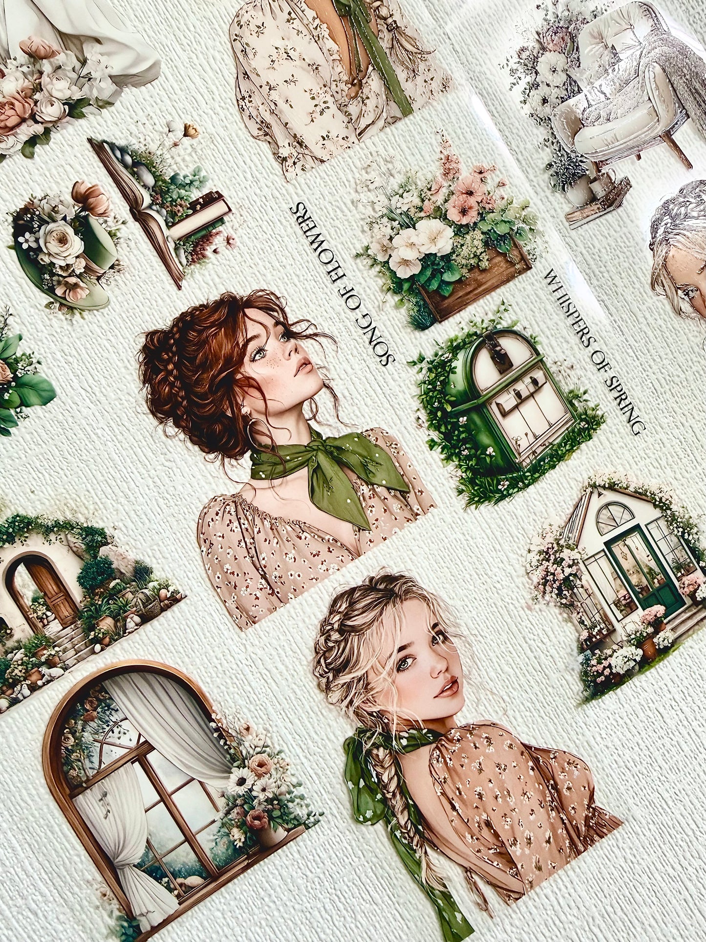 Torn Paper_ Blushwood Cottage 3D Print PET Tape 200cm TPM 076[1Loop]