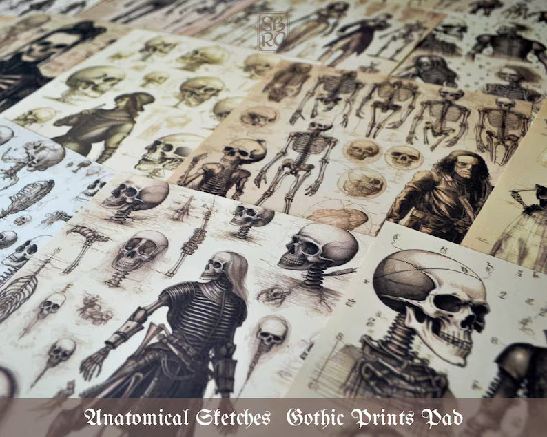 SBRC Gothic Anatomical Sketches SR 017