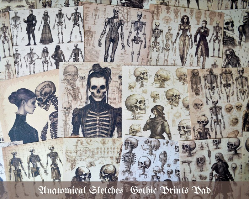 SBRC Gothic Anatomical Sketches SR 017