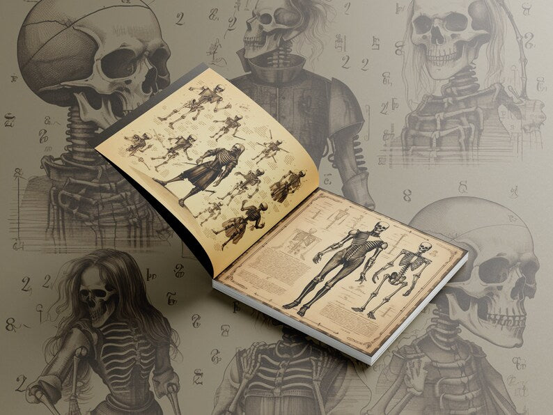 SBRC Gothic Anatomical Sketches SR 017