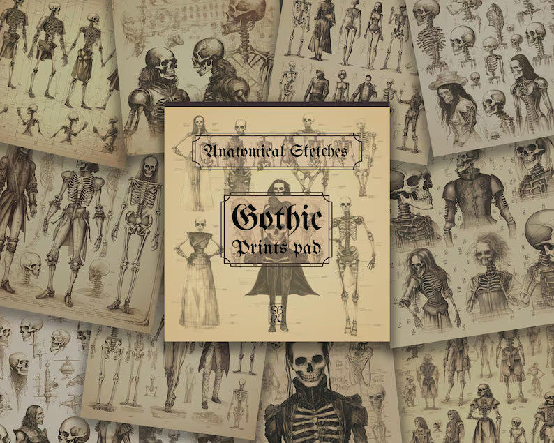 SBRC Gothic Anatomical Sketches SR 017