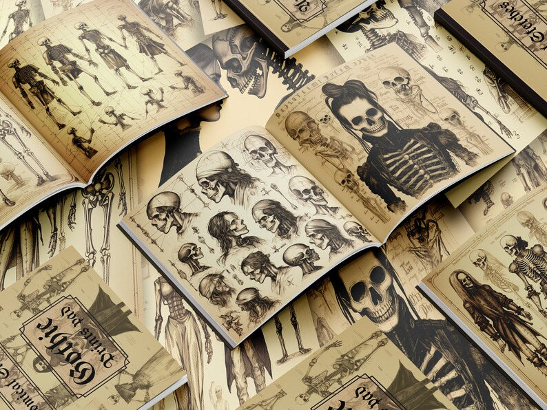 SBRC Gothic Anatomical Sketches SR 017