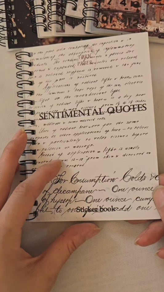 Torn Paper_ Sentimental Quotes 3D Print PET Stickerbook 10sheets TPM 041